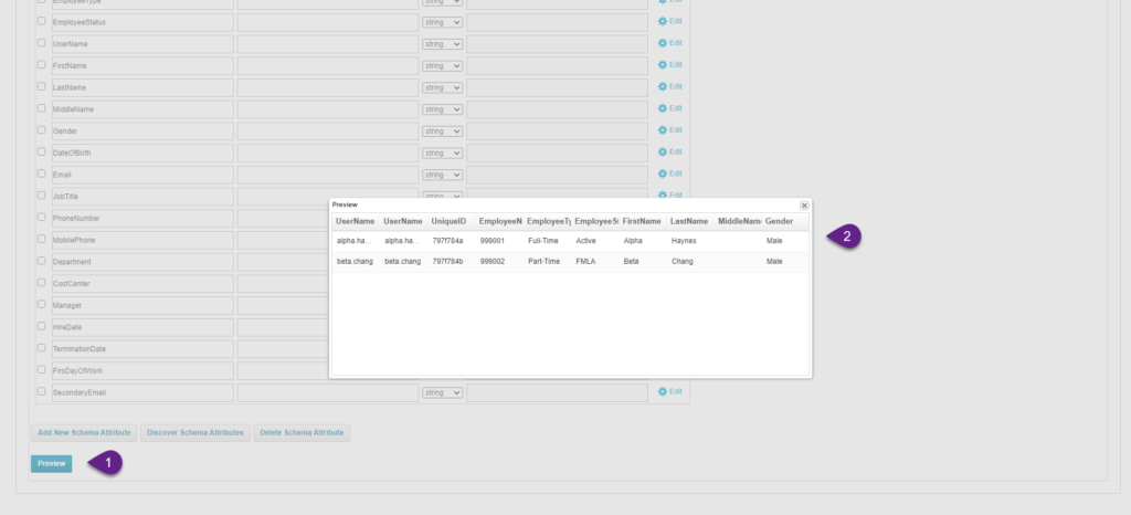 IdentityIQ Delimited File Connector